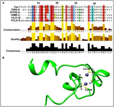 Molecular dissection studies of TAC1, a transcription activator of Candida <mark class="highlighted">drug resistance genes</mark> of the human pathogenic fungus Candida albicans